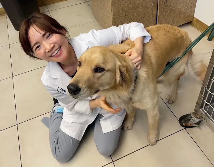 Hope Veterinary Care 7