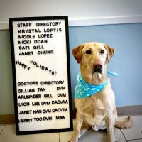 Hope Veterinary Care ico