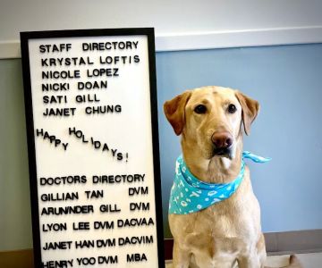 Hope Veterinary Care