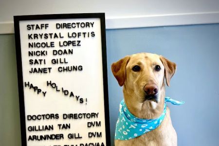 Hope Veterinary Care