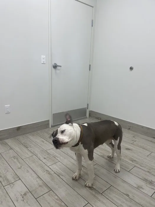Hope Veterinary Care 4