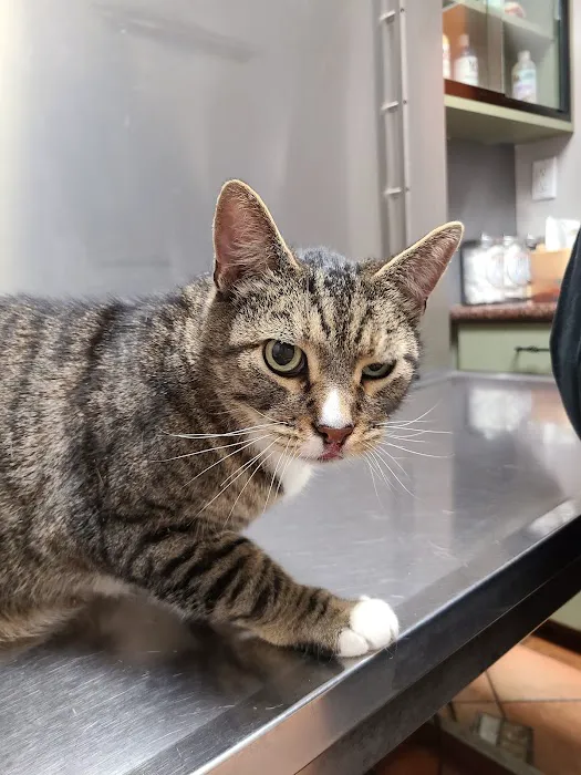 Grand Pet Care Center 12
