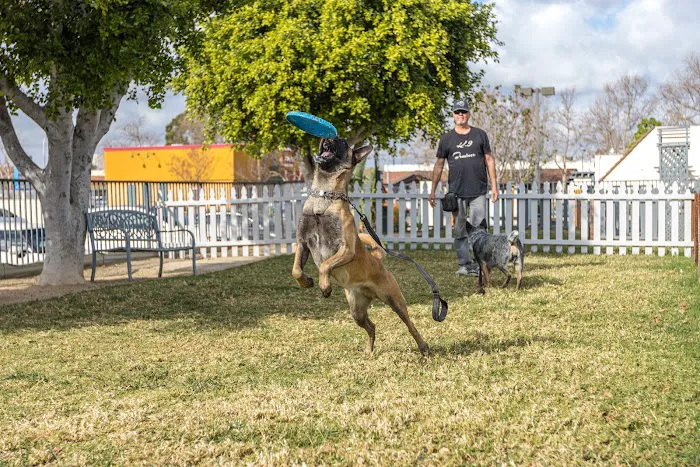 Grand Pet Care Center 12