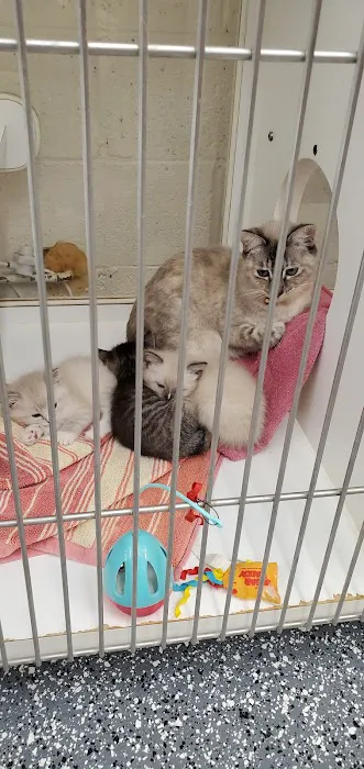 Metropolitan Veterinary Hospital 12