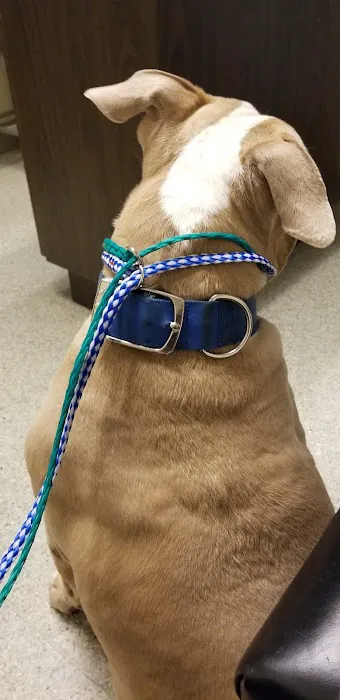 Metropolitan Veterinary Hospital 12