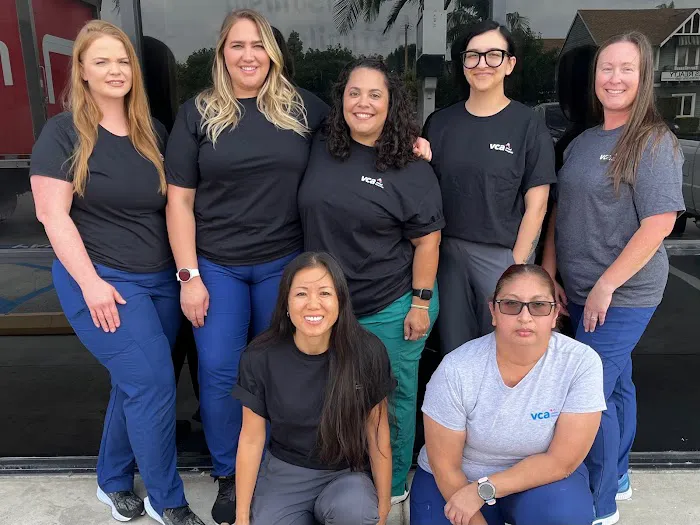 VCA Orange Animal Hospital 12