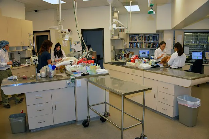 VCA Orange Animal Hospital 12