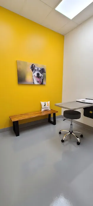 Healthier Pet Veterinary Care 12
