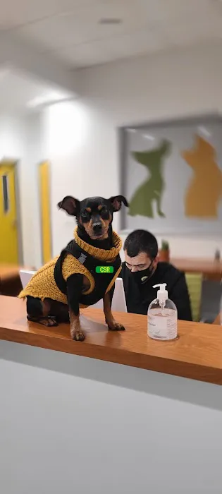 Healthier Pet Veterinary Care 12