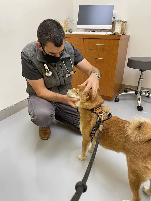 Healthier Pet Veterinary Care 12