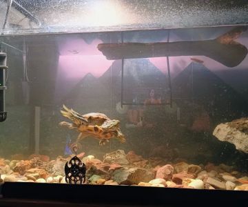 Natures Call Pet Shop Llc