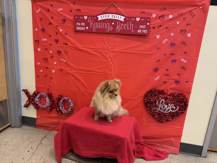Vetco Total Care Animal Hospital 12