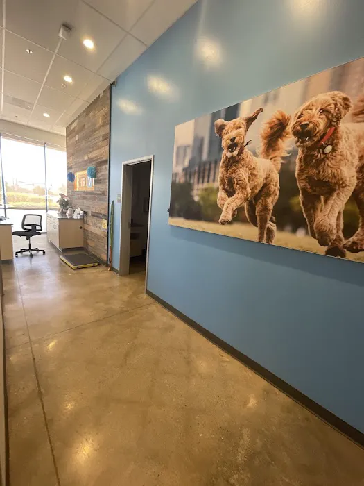 Vetco Total Care Animal Hospital 12
