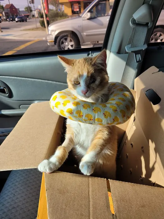 Santa Ana Veterinary Hospital 3
