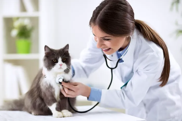 Santa Ana Veterinary Hospital 8