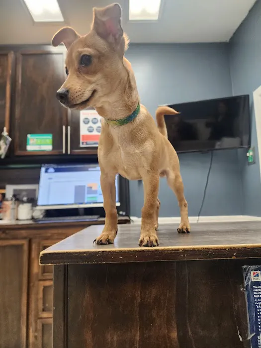 Santa Ana Veterinary Hospital 10