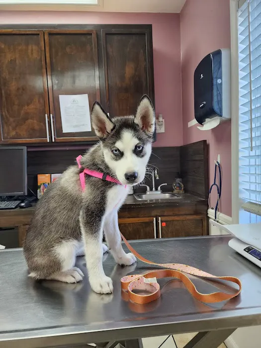 Santa Ana Veterinary Hospital 9