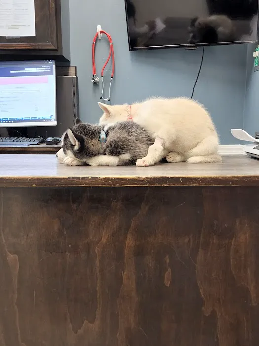 Santa Ana Veterinary Hospital 7