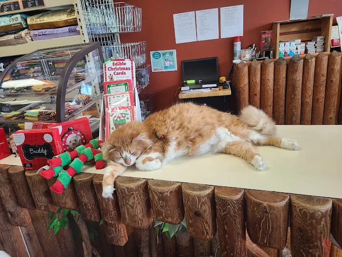 Pets 'n' Things 2