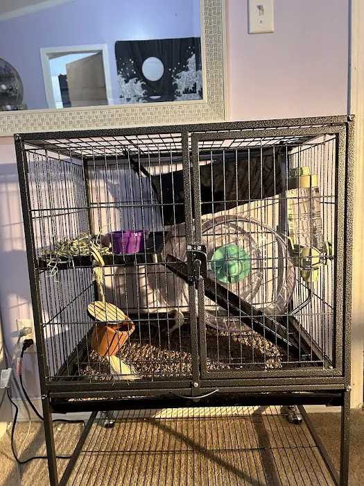 Pets 'n' Things 5