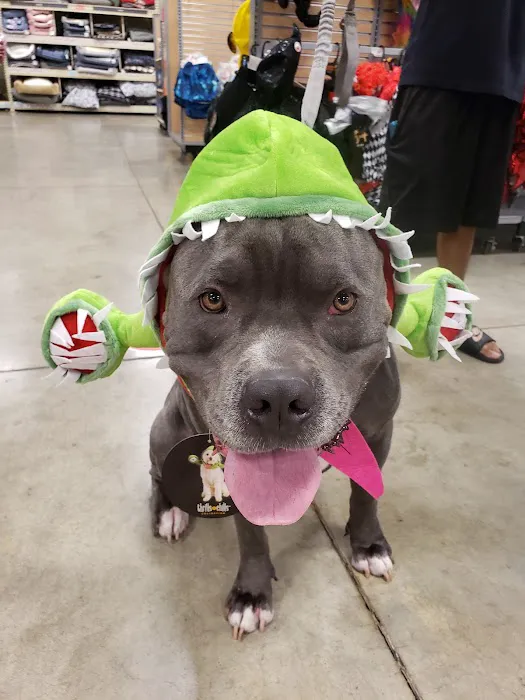 Banfield Pet Hospital 4