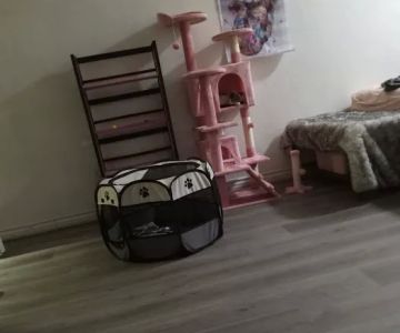 Banfield Pet Hospital