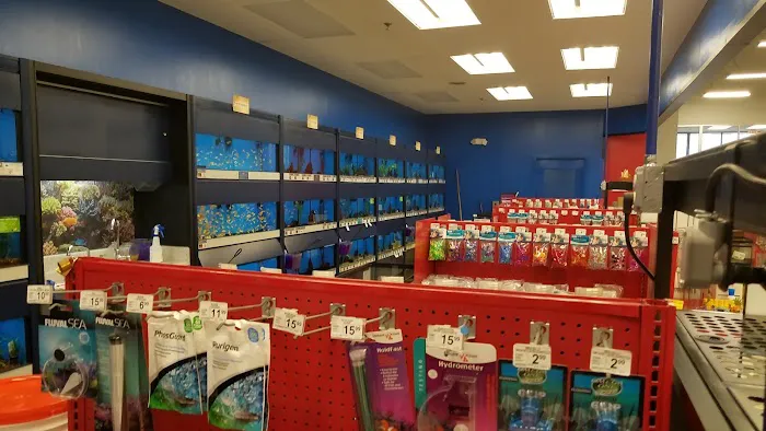 Petco 2