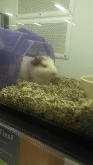 Petco 6