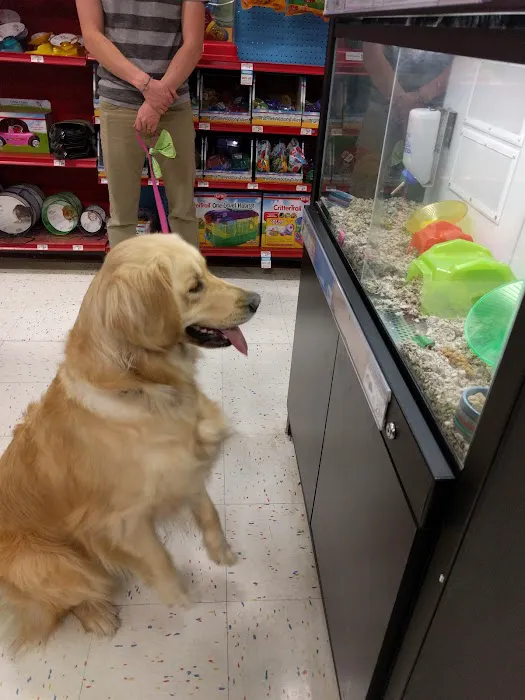 Petco 3