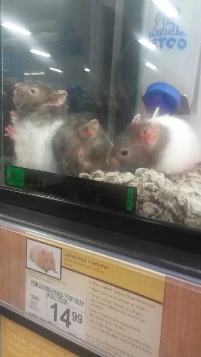 Petco 5