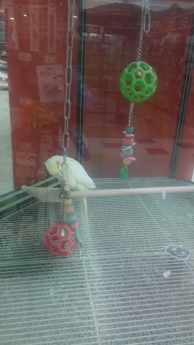 Petco 10
