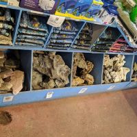 The Fish Doctors ico