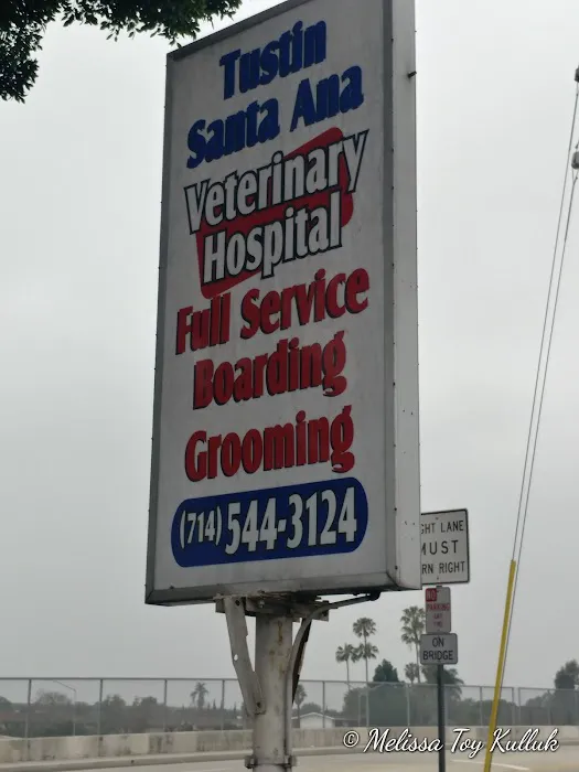 Tustin Santa Ana Vet Hospital 5