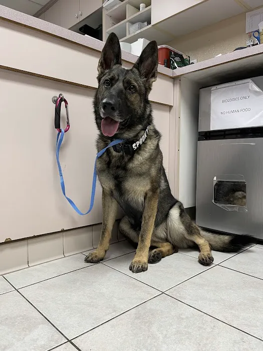 Tustin Santa Ana Vet Hospital 10