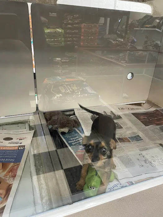 Pet City Pets 12
