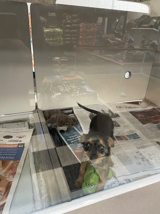 Pet City Pets 12