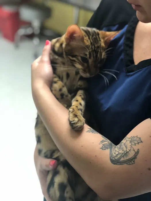 Animal Medical Center of Orange 3