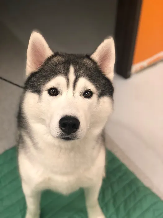 Animal Medical Center of Orange 2
