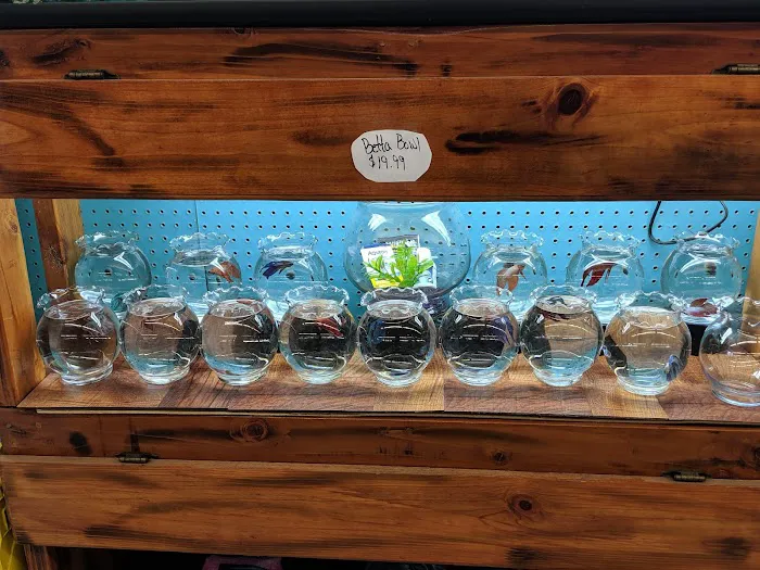 Feed Rite Pet Shop & Supply 8