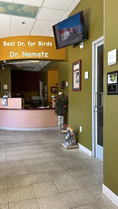 Bird Clinic 9