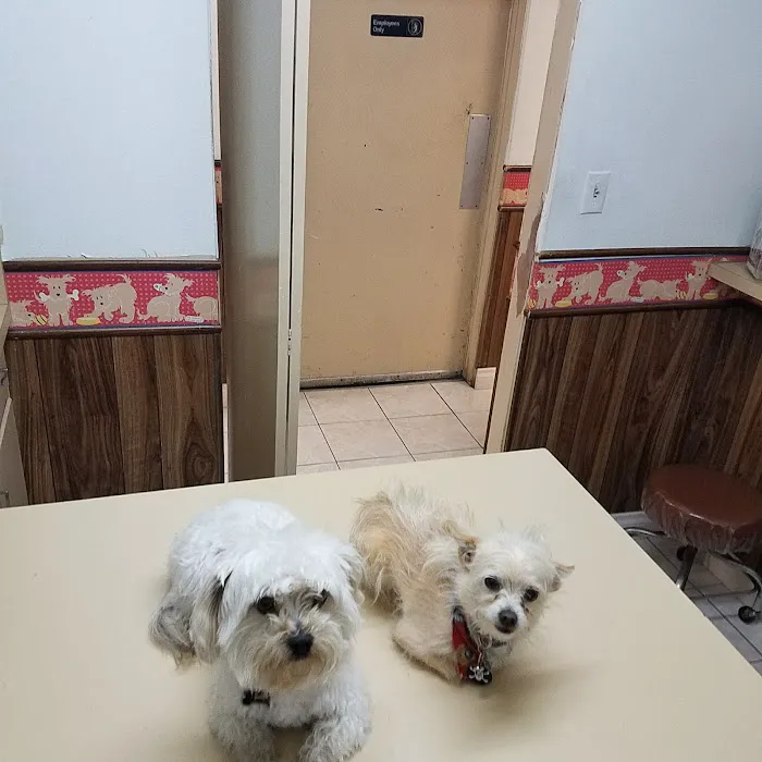 Orange-Tustin Animal Hospital 1