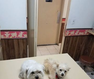 Orange-Tustin Animal Hospital