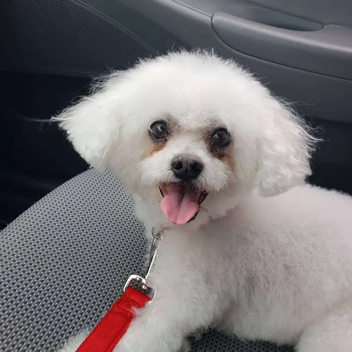 Orange-Tustin Animal Hospital 5