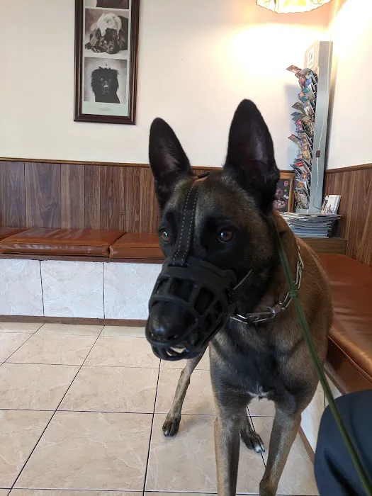 Orange-Tustin Animal Hospital 7