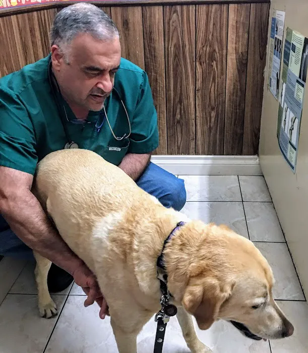Orange-Tustin Animal Hospital 9