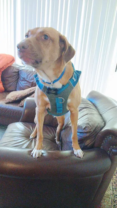 Santa Ana Animal Clinic 1