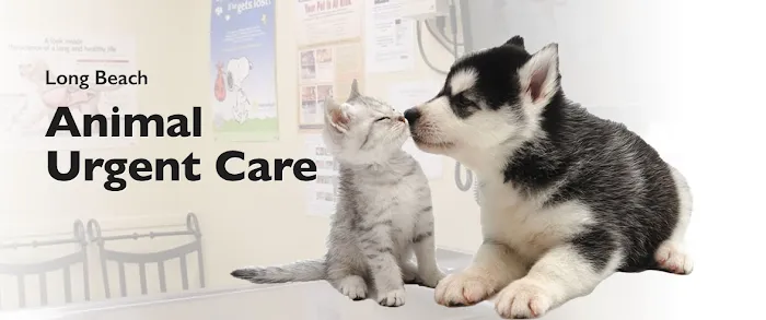 Long Beach Animal Urgent Care 9