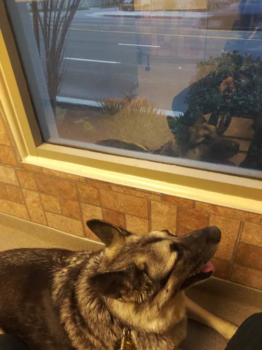 Blue Cross Veterinary Hospital 6