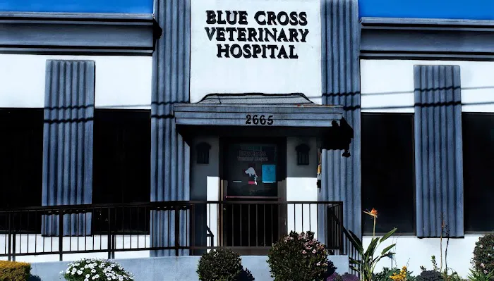 Blue Cross Veterinary Hospital 7