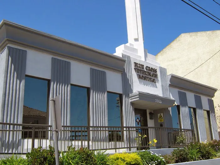 Blue Cross Veterinary Hospital 9